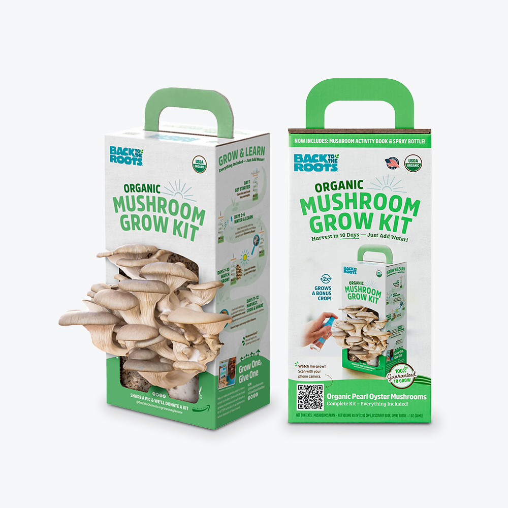 Mushroom Boxes - Image 2