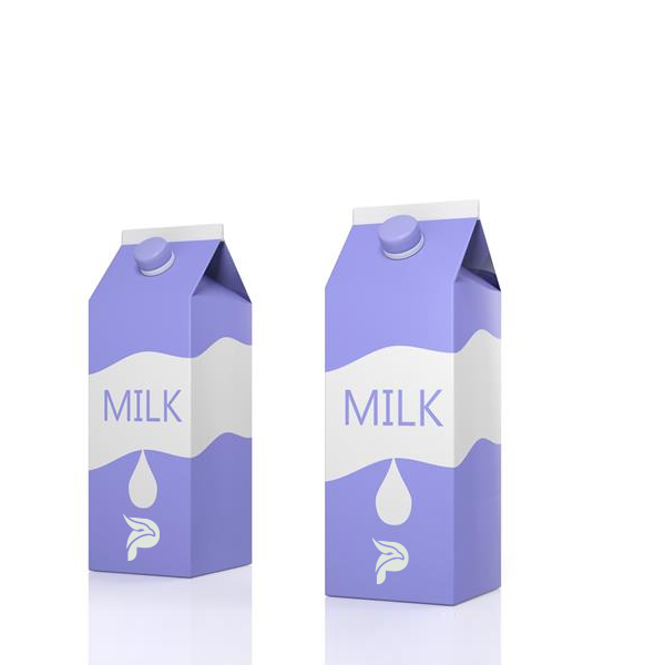 Custom Milk Carton - Image 3