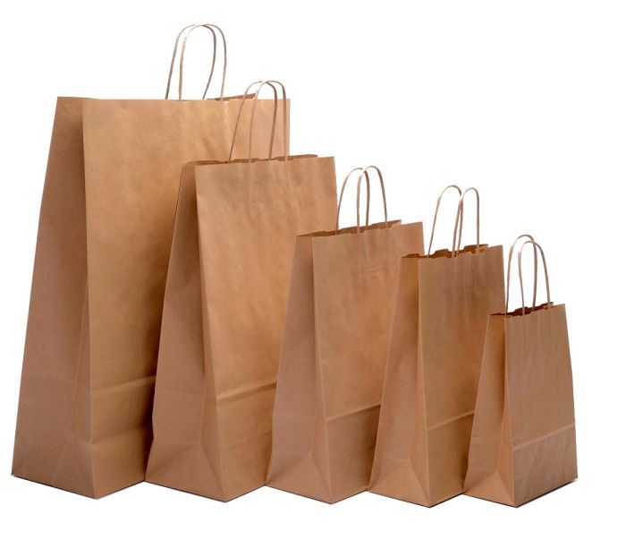 Twisted Handle Paper Bags - Image 2