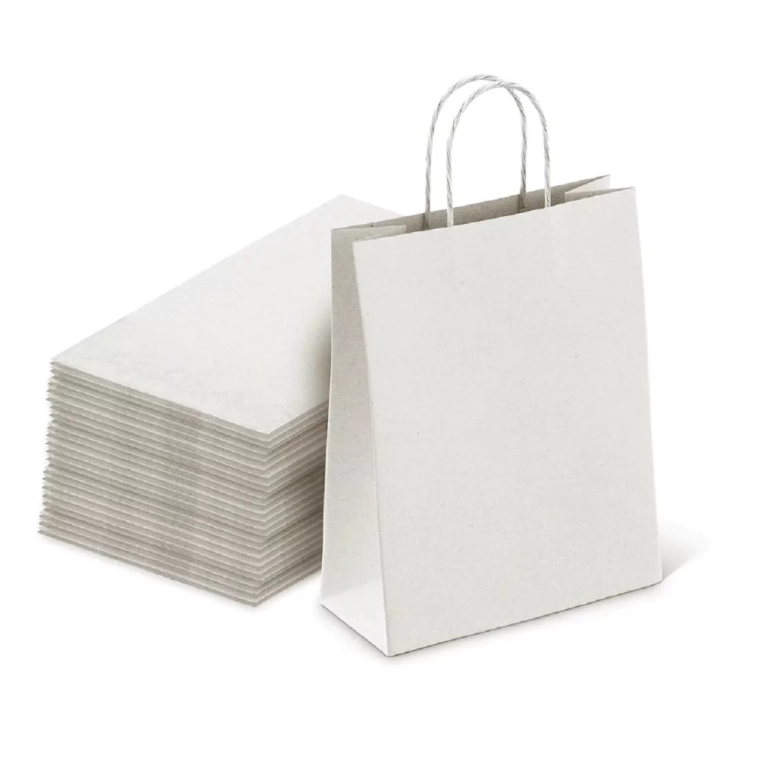 Twisted Handle Paper Bags